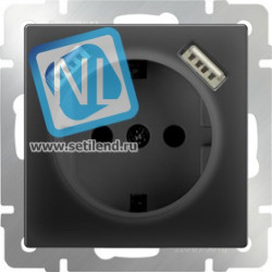 WL08-SKGS-USBx2-IP20 / Розетка с заземлением, шторками и USBх2 (черный матовый)