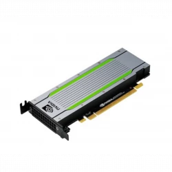 Видеокарта NVIDIA T4