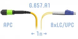 Патчкорд оптический MPO/APC-8LC/UPC SM G.657.A1 1 метр
