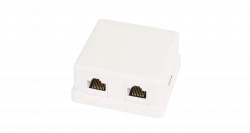 Настенная розетка NETLAN, 2 порта, Кат.5e (Класс D), 100МГц, RJ45/8P8C, 110, T568A/B, неэкранированная, белая, уп-ка 10шт.