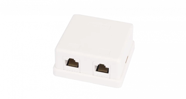Настенная розетка NETLAN, 2 порта, Кат.5e (Класс D), 100МГц, RJ45/8P8C, 110, T568A/B, неэкранированная, белая, уп-ка 10шт.