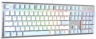 Клавиатура A4Tech Fstyler FS100 Neon механическая синий USB for gamer LED (FS100)