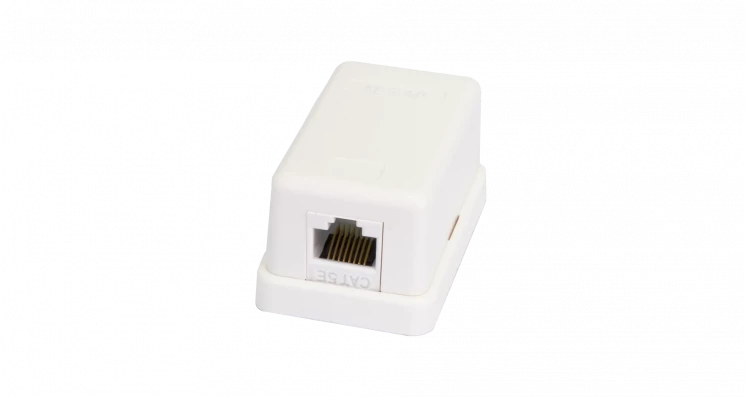 Настенная розетка NETLAN, 1 порт, Кат.5e (Класс D), 100МГц, RJ45/8P8C, 110, T568A/B, неэкранированная, белая, уп-ка 10шт.
