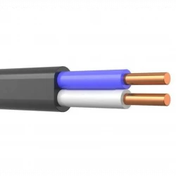 Кабель ВВГ-Пнг(А) 2х4 ок (N) 0.66кВ (м) Кабэкс ТХМ00214373