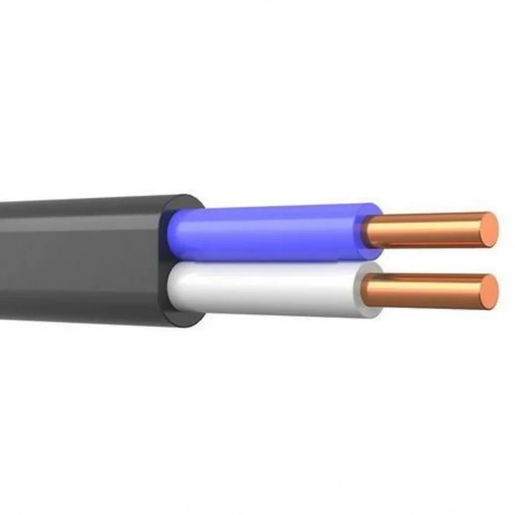 Кабель ВВГ-Пнг(А) 2х4 ок (N) 0.66кВ (м) Кабэкс ТХМ00214373