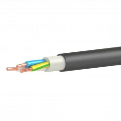 Кабель ВВГнг(А)-LSLTx 3х2.5 ОК (N PE) 0.66кВ (м) Кавказкабель 21011520170