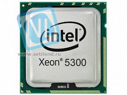 Процессор IBM 43X1002 Option KIT INTEL XEON QUAD CORE PROCESSOR E5310 1.60GHZ FOR HS21-43X1002(NEW)