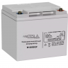 Свинцово-кислотный аккумулятор Tesla Power 12VDC 50Ач