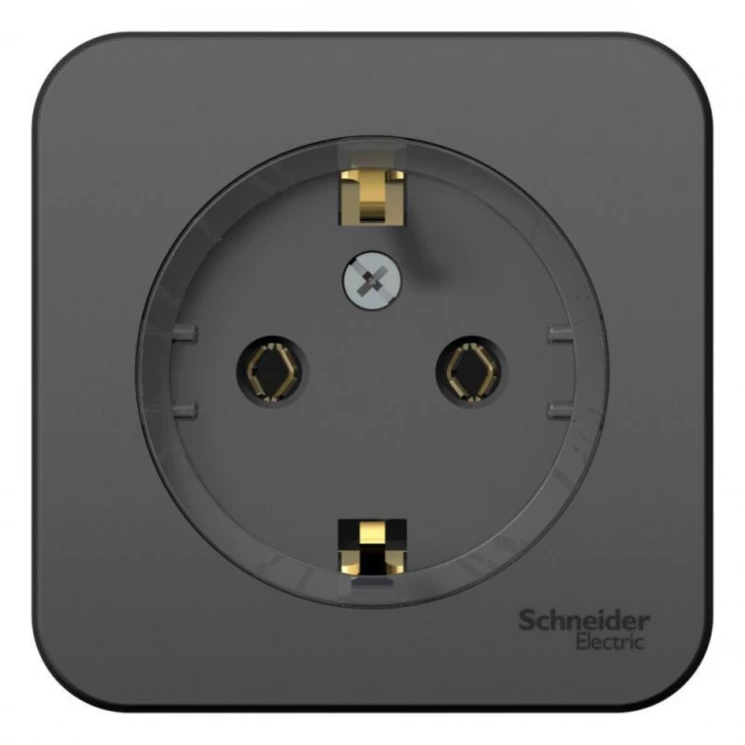 Розетка 1-м ОП Blanca 16А IP20 250В с заземл. без защ. шторок с изолир. пластиной (компакт) антрацит