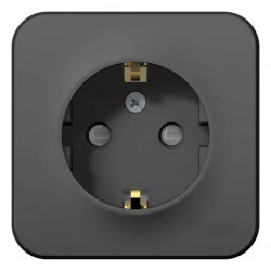 Розетка 1-м ОП Blanca 16А IP20 250В с заземл. защ. шторки с изолир. пластиной антрацит SE BLNRA01111