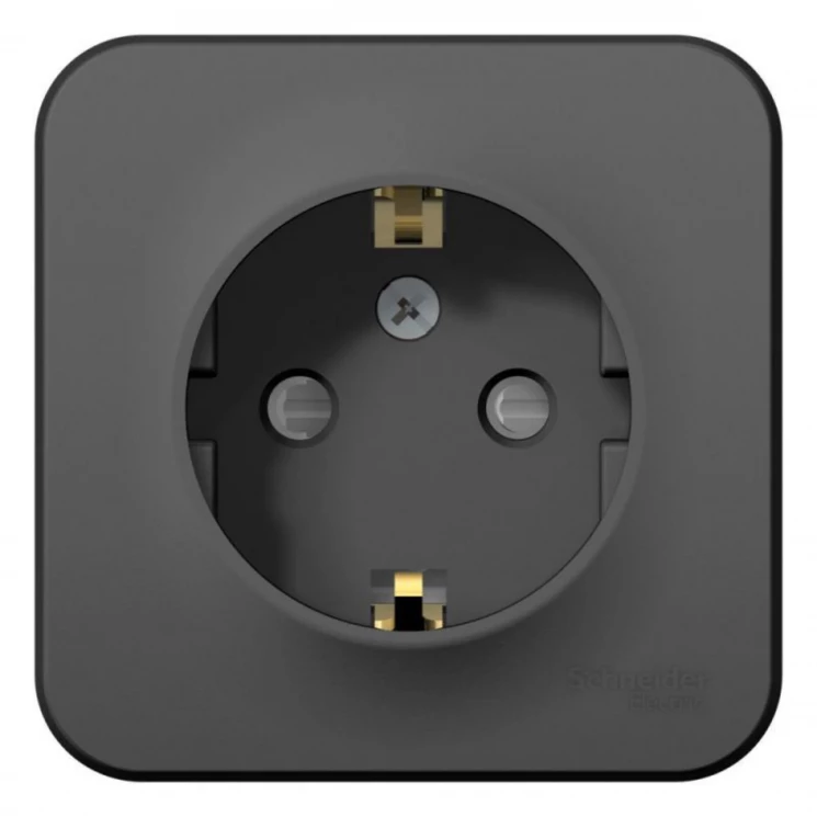 Розетка 1-м ОП Blanca 16А IP20 250В с заземл. защ. шторки с изолир. пластиной антрацит SE BLNRA01111