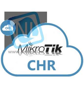 Лицензия MikroTik Cloud Hosted Router P-unlimited