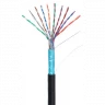 Кабель NETLAN F/UTP 10 пар, Кат.5 (Класс D), 100МГц, одножильный, BC (чистая медь), внешний, PE до -40C, черный, 305м