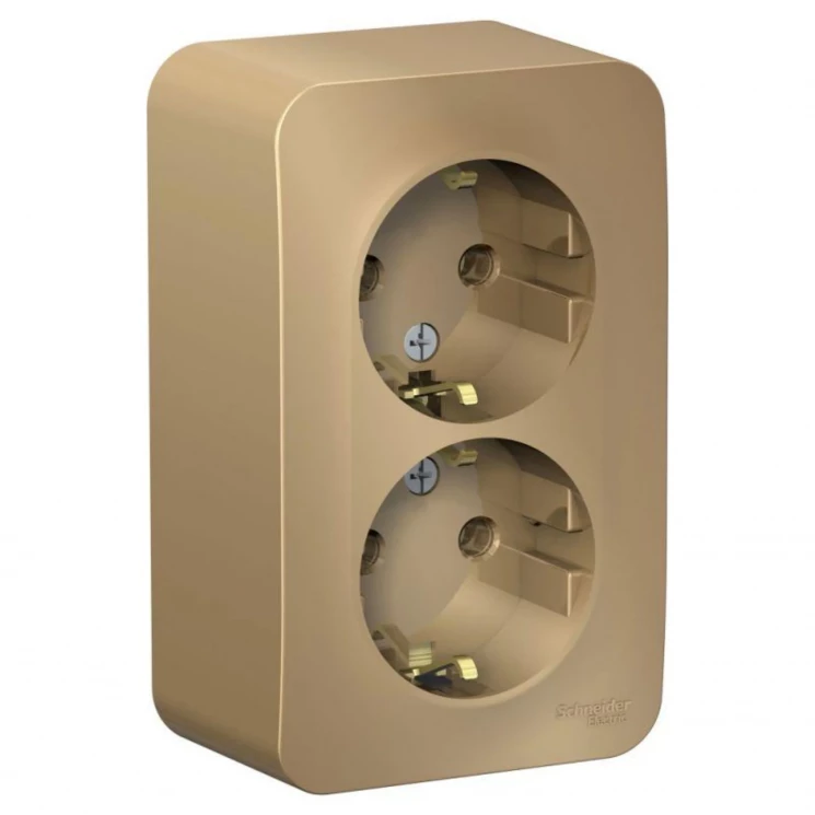 Розетка 2-м ОП Blanca 16А IP20 250В с заземл. без защ. шторок с изолир. пластиной титан SE BLNRA0102