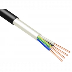 Кабель ВВГнг(А)-LSLTx 4х2.5 (PE) 0.66кВ (м) Промэл 13475840
