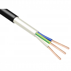 Кабель ВВГнг(А)-LSLTx 3х2.5 (N PE) 0.66кВ (м) Промэл 13475820