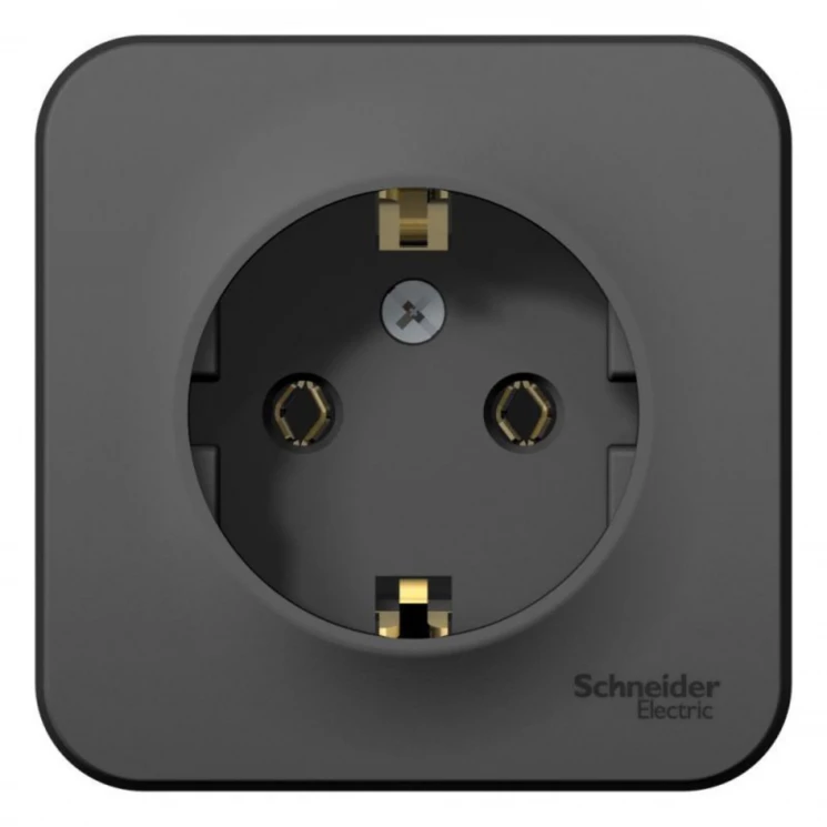 Розетка 1-м ОП Blanca 16А IP20 250В с заземл. без защ. шторок с изолир. пластиной антрацит SE BLNRA0