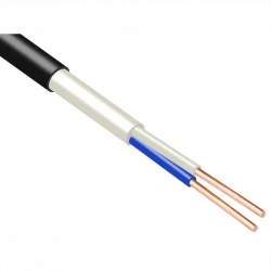 Кабель ВВГнг(А)-FRLS 2х1.5 ок (N) 0.66кВ (м) Промэл 13475770