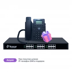 Аналоговый шлюз Yeastar TA2400 (SNR-VP-72-P)