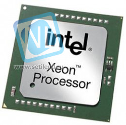 Процессор IBM 13N0699 xSeries 2.8GHz/800MHz-1MB LV Xeon with EM64T-13N0699(NEW)
