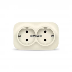 Розетка 2-м ОП 16А IP20 с заземл. сл. кость IONICH 1428