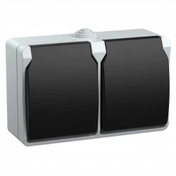 Розетка 2-м ОП Форс РСб22-3-ФСр 16А IP54 с заземл. с крышкой сер. IEK ERS22-K03-16-54-DC