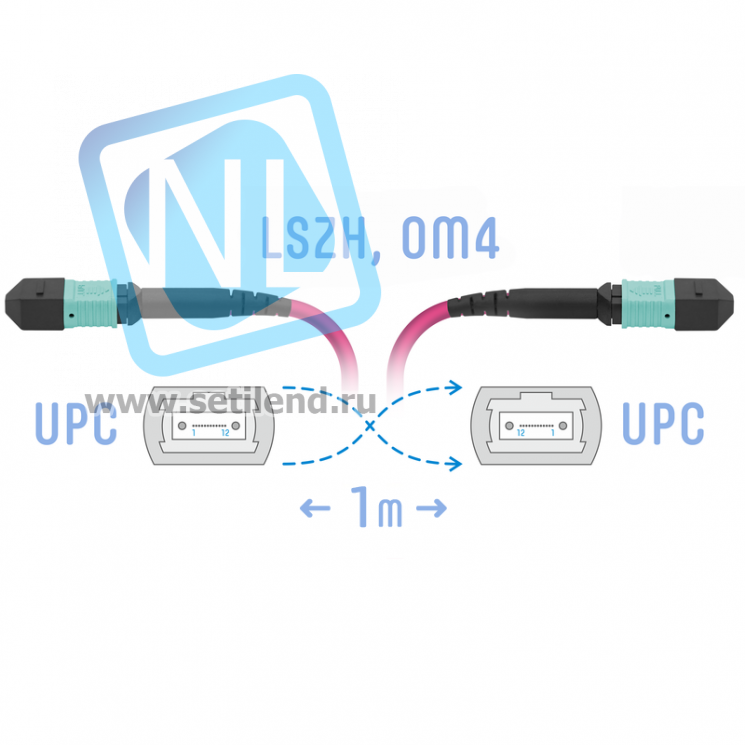 Патчкорд оптический MPO/UPC FF MM (50/125 OM4), 12 волокон, 1 метр (Cross)