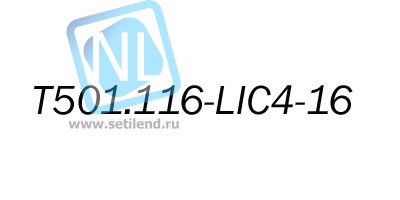 Лицензионный ключ на увеличение E1 портов с 4 до 16 для T501.116.404