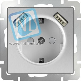 WL06-SKGS-USBx2-IP20 / Розетка с заземлением, шторками и USBх2 (серебряный)