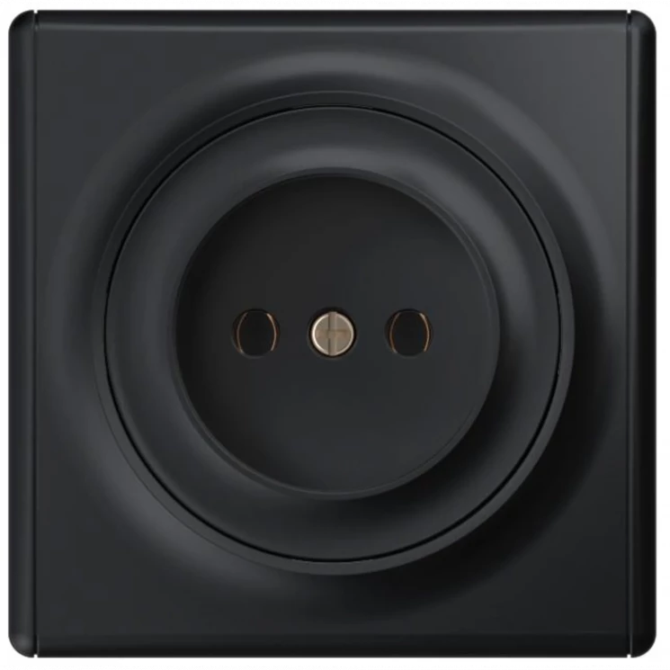 Розетка 1-м СП Florence 16А IP20 без заземл. винтов. клеммы механизм черн. (1E10301303) OneKeyElectr