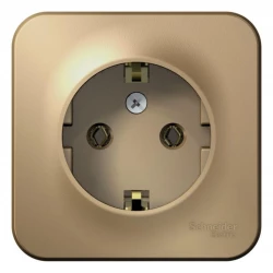 Розетка 1-м ОП Blanca 16А IP20 250В с заземл. без защ. шторок с изолир. пластиной титан SE BLNRA0101