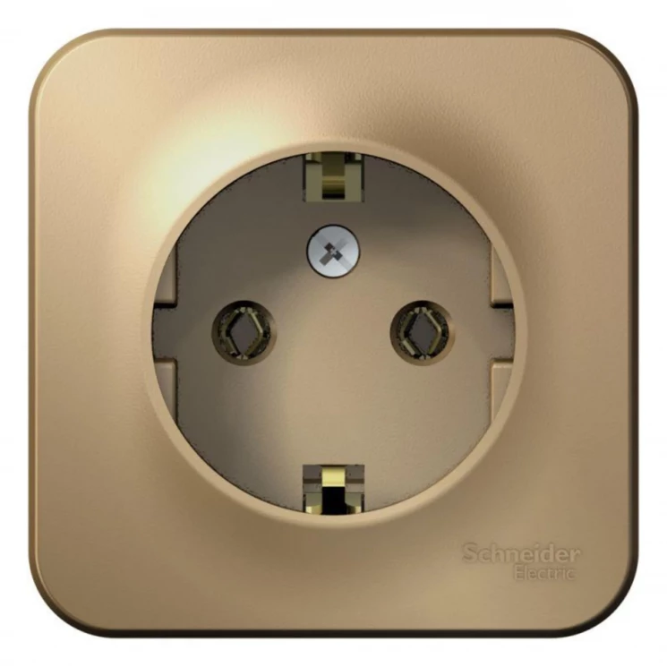 Розетка 1-м ОП Blanca 16А IP20 250В с заземл. без защ. шторок с изолир. пластиной титан SE BLNRA0101