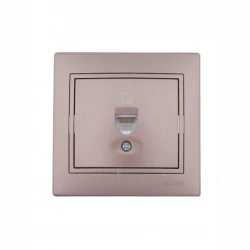 Розетка компьютерная 1-м СП Mira RJ45 16А IP20 со вставкой свет. корич. перламутр. LEZARD 701-3131-1