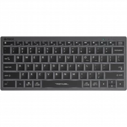 Клавиатура A4Tech Fstyler FX61 серый USB slim LED (FX61 GREY)